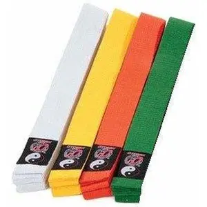 Martial Arts Karate Taekwondo Kenpo Student Rank Belts