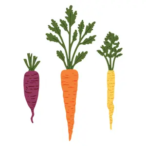Honey Bee Stamps - Honey Cuts - Lovely Layers: Carrots