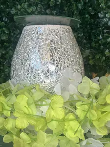 Fragrance Lamp Diffuser