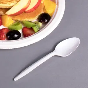 [1,000 ct] PP Plastic Medium Weight Tea Spoons, White