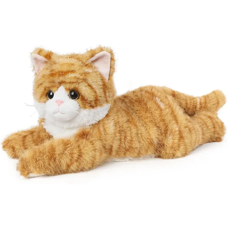 Orange Tabby Cat
