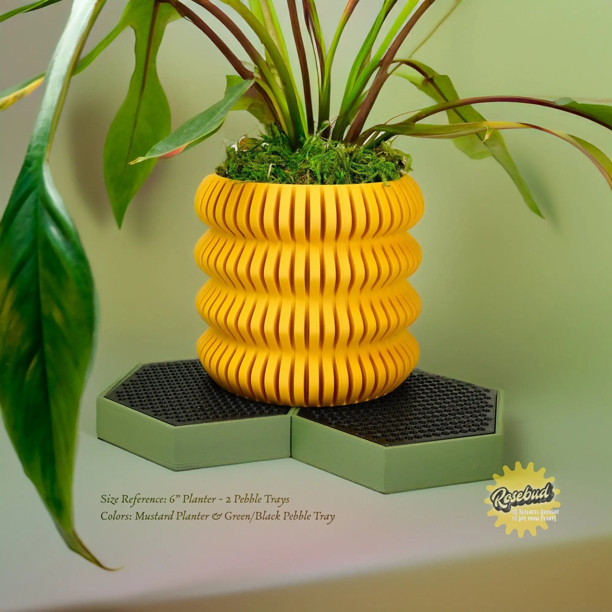 Water Humidity Tray for Houseplants, Includes Pebbles Water Humidity Tray for Houseplants, Includes Pebbles
