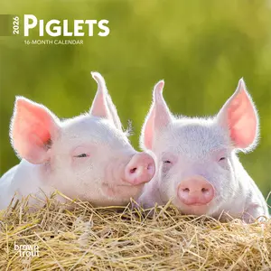 Piglets | 2026 7 x 14 Inch (Hanging) Monthly Mini Wall Calendar | BrownTrout | Domestic Pet Baby Farm Animals