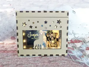 Engraved Pet Urn with Photo and Lights