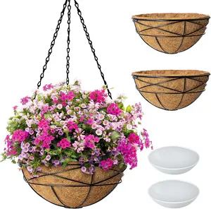 2 Pack 10 Inch Hanging Planters for Outdoor  Metal Wire Flower Baskets with  Coconut Liners for Garden Planting Decor