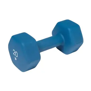 Dumbbell 20lbs Blue, Single, for Men Women Home Gym Full Body Strength Training
