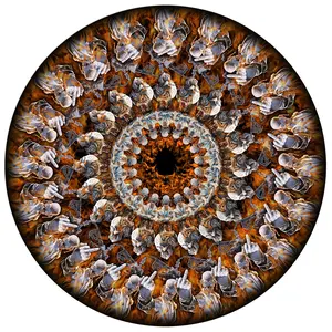 Megadeth - Megadeth - Zoetrope 2LP *last 100 copies*