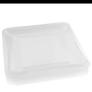 10 X 10 Inch Square Clear Plastic Serving Tray