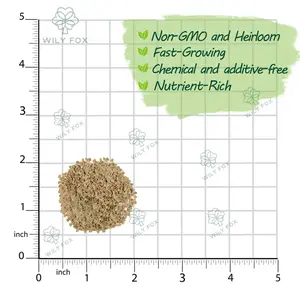 Premium Big Tomato Seeds – 300 Heirloom Non-GMO Seeds for Planting - Juicy, Large Red Tomatoes - Ideal for Home Garden, Outdoor, Patio, Containers, Vegetables, Fresh Tomato Gardening