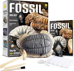 Fossil Dig Kit - Dig Up 12 Real Fossils Including Sharks, Dinosaurs & Ammonites - Archaeology Paleontology Science STEM Gift for Kids Ages 6-12