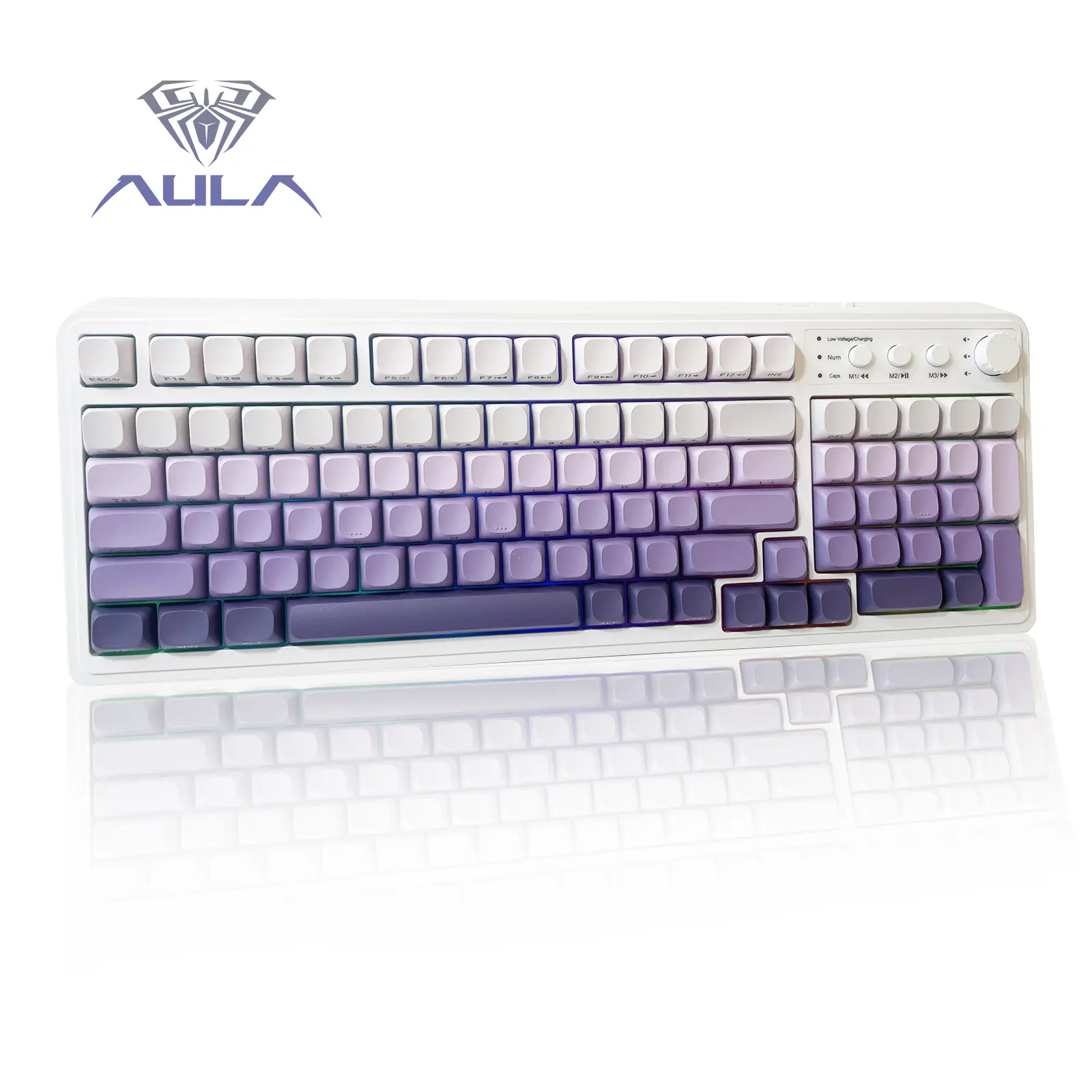 Enchanted Plum (Gradient Purple)