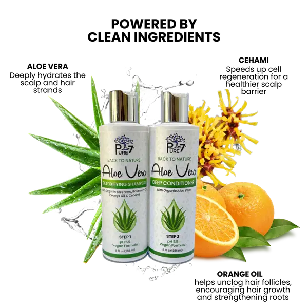 Back to Nature Aloe Vera Shampoo & Deep Conditioner  | Hair Fall Control + Scalp Detox + S0mooth & Strong Hair | Vegan Formula