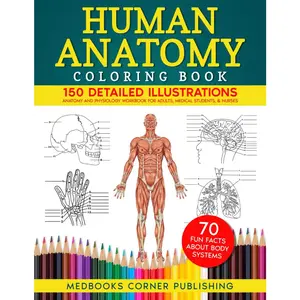 Human Anatomy Coloring Book: 150 Detailed Illustrations & 70 Fascinating Facts in an Anatomy and Physiology Workbook for Adults, Medical Students, & Nurses Focused on Advanced Body Systems Learning