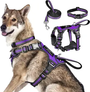 Pet Harness Collar and Leash Set All-in-One