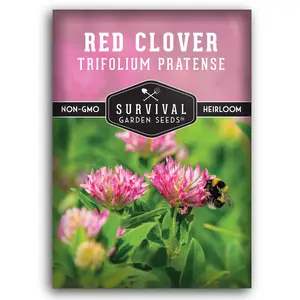 Red Clover Seeds - Medicinal Herb & Ground Cover