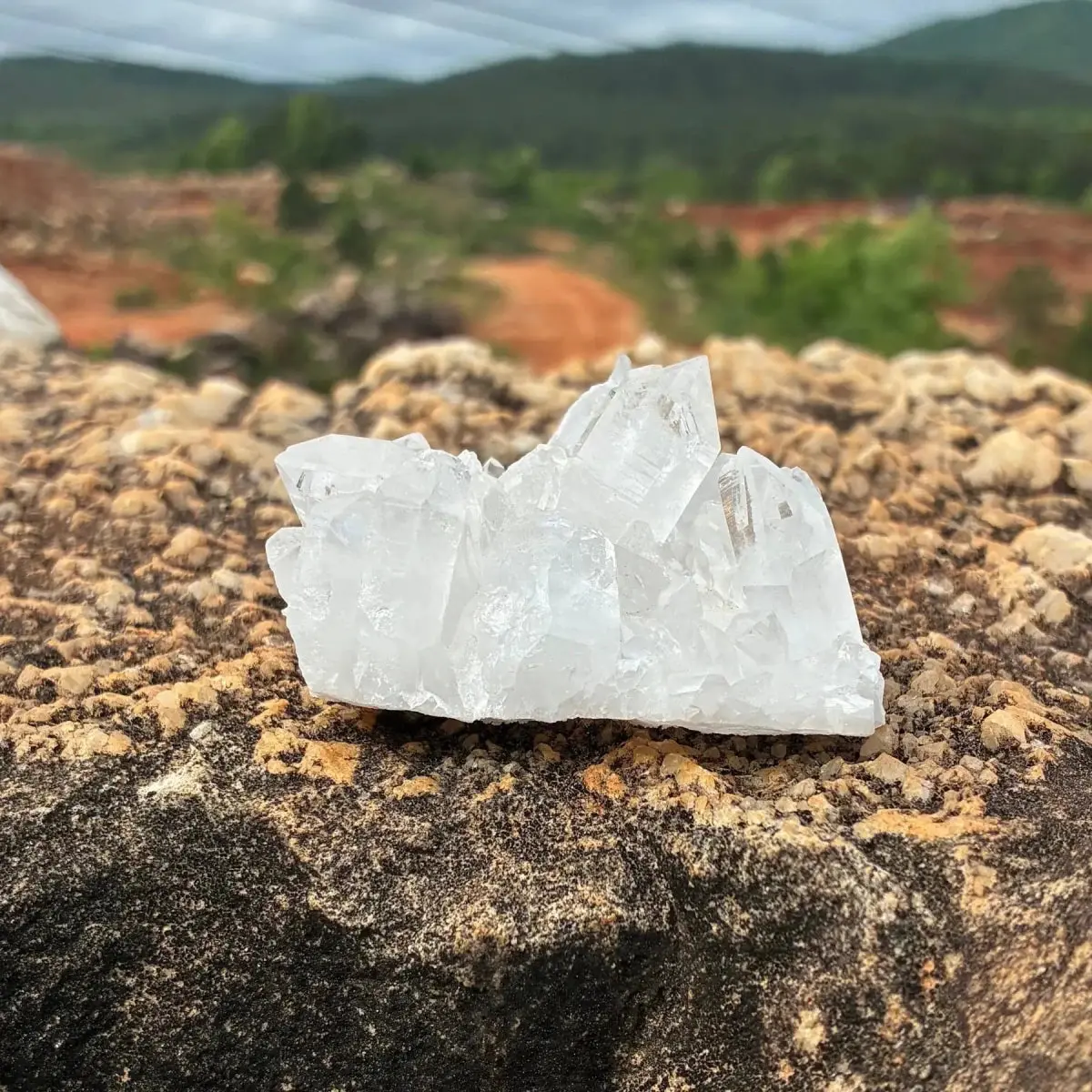 Small Petite Water Clear Quartz Crystal Cluster