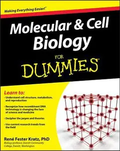 USED-Molecular and Cell Biology for Dummies by Fester Kratz, Rene (Paperback)