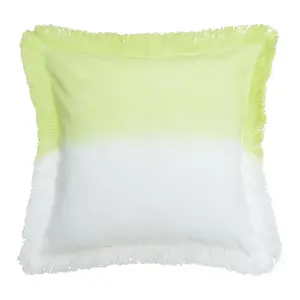 22" x 22" Aster Throw Pillow by Valerie