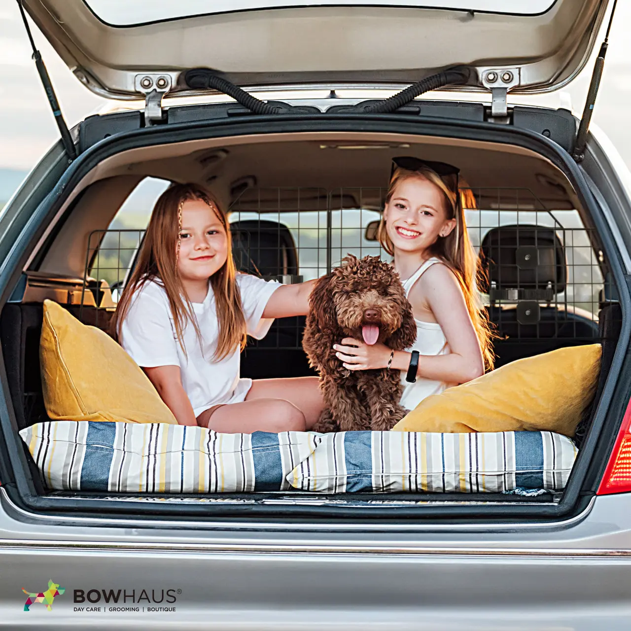 BOWHAUS Dog Car Barrier for SUVs, Trucks, Vehicles, High-Quality Heavy-Duty Wire Mesh Adjustable & Foldable Pet Barrier for Cargo Area, Dog Divider for Car, Car Safety Accessories, Hardware Included