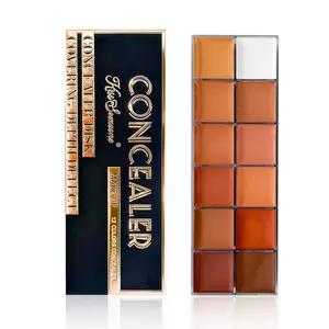 12-Color Concealer Palette for Deep Skin Waterproof Foundation Full Coverage Sun Protection   Blush & Eyeshadow Makeup Kit