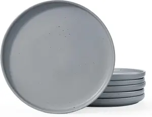 ONE OF ONE Dawn Speckled Dinner Plates Set of 6, 10.25 inch Large Plate Set, Kitchen Stoneware Serving Dishes with Speckled Design, Microwave and Dishwasher Safe