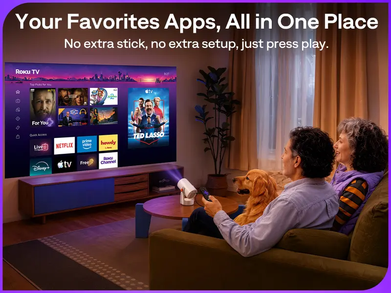 Built-in Roku TV app interface for home streaming