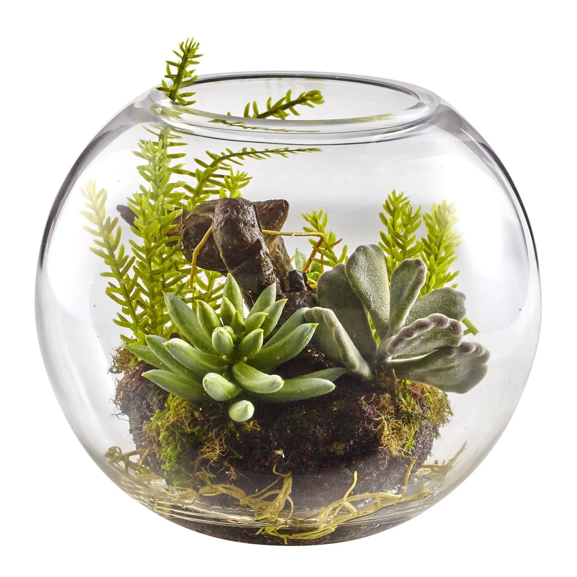 6.5 in Southwest Mixed Succulent Garden Enclosure with Glass Vase - Indoor Enclosure Aquariums & Fish Bowls Decor for Fish & Aquatic Pet Supplies, 6.5 Inches, Mini Aquariums & Fish Bowls
