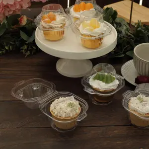 25-Pack Plastic Cupcake Container Boxes with Dome Lid 4" Clear - Stackable Individual Clamshell-Packaging for Bakery Display & Party Favors
