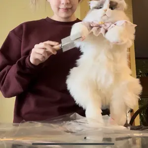 Product Review of 【TikTokShopBacktoSchool】Chongker Stylish Daypack Plush Cat Backpack - Realistic Stuffed Animal Fashion Accessory & Unique Gift for Cat Lovers - 1 Set Gift Wrap from K**a R**s