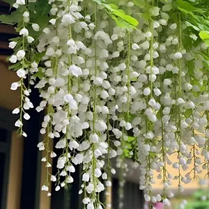 100PCS Jasmine Vine Seeds – Elegant Weeping Flowers for Hanging Baskets, Pergolas, and Garden Decor