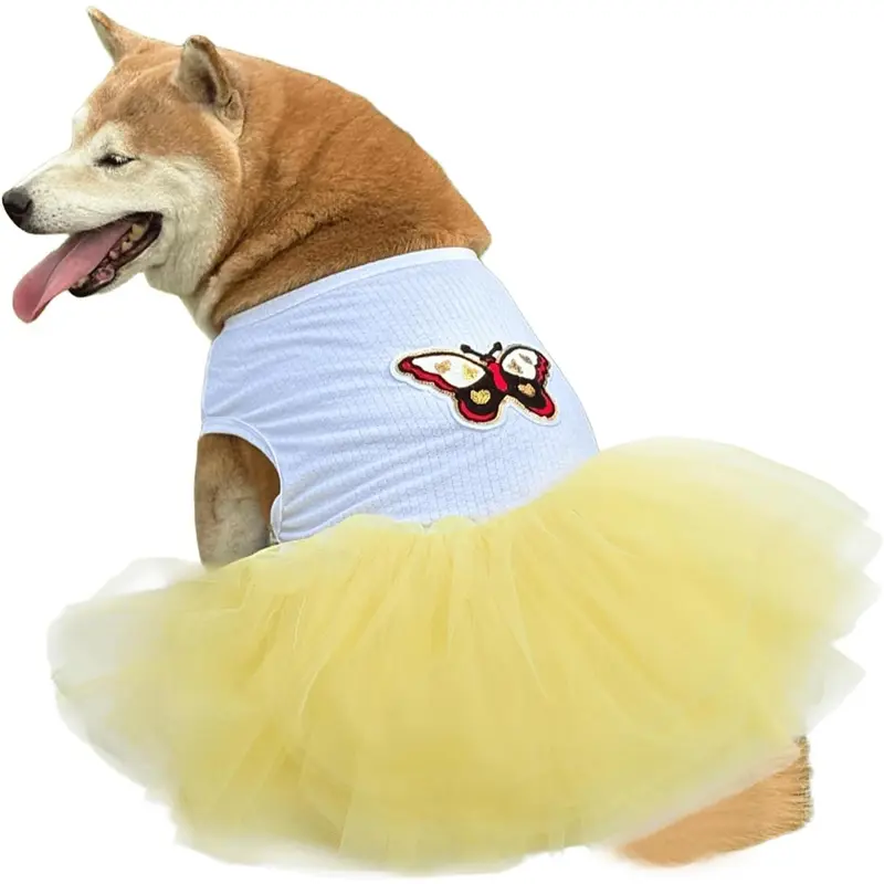big dog dresses - TikTok Shop