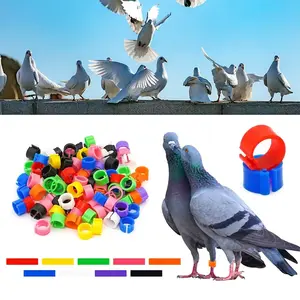 Colorful Parrot Pigeon Foot Rings Set of 50, No-Word Identifier Bands, Bird Training Tools, Plastic Anti-Drop Feet Clips, Pet Bird Accessories