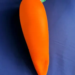 Sunny days carrot squishy
