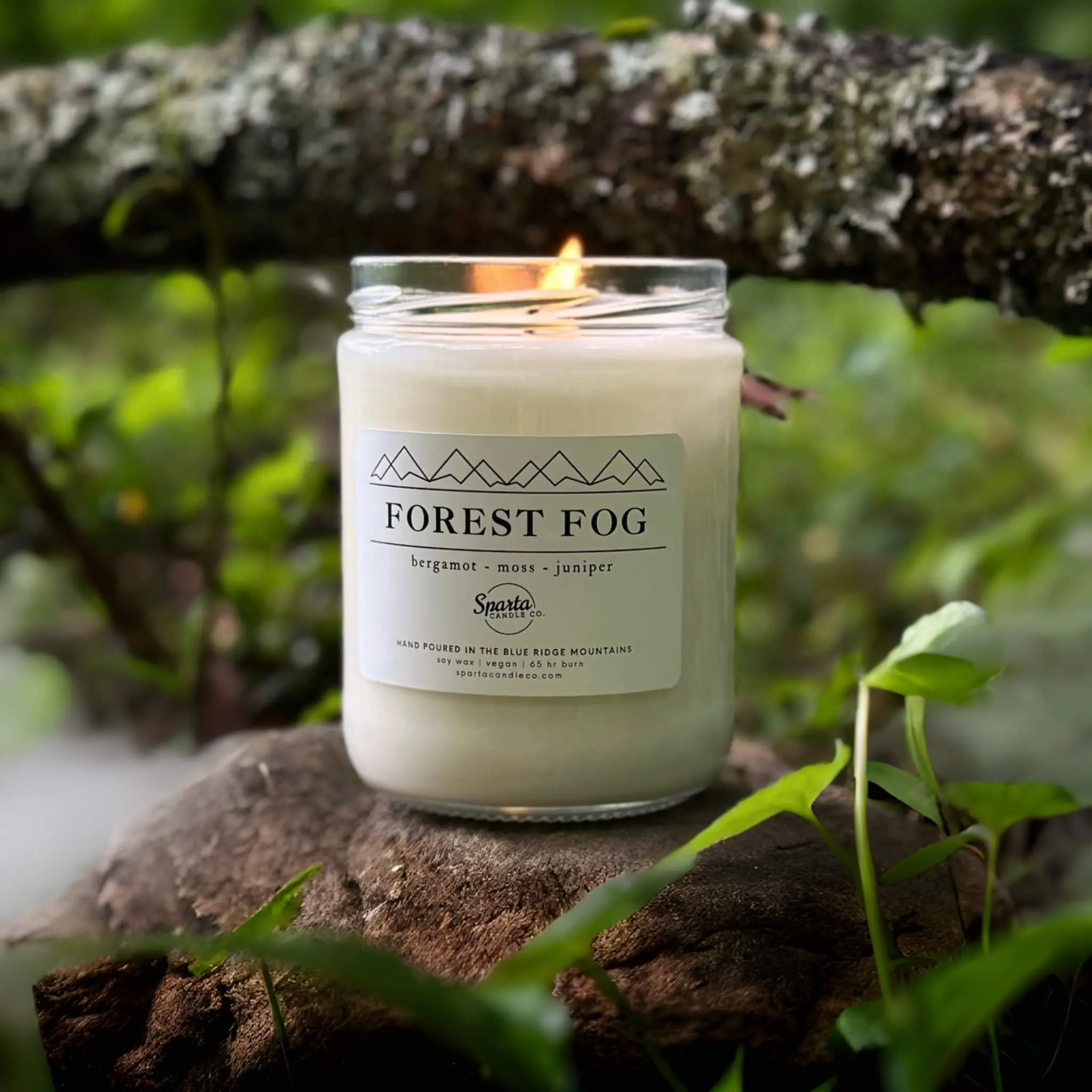 FOREST FOG CANDLE