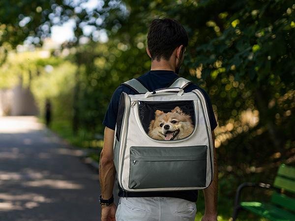 PetCozife Cat Backpack Carrier, Expandable Roomy Pet Carrier Backpack, For Medium Cat Small Dog Puppy Under 18lbs, Breathable Foldable Dog  Backpack, Travel Airline Approved for Camping Outdoor, for Cat Lovers Animal Carrier, Gray Large