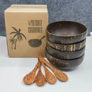 Coconut Shell Bowl & Spoon Set, 4 Counts/set Including 2 Counts Bowl & 2 Counts Spoon, Kitchen Tableware Set for Home Dining Room Picnic