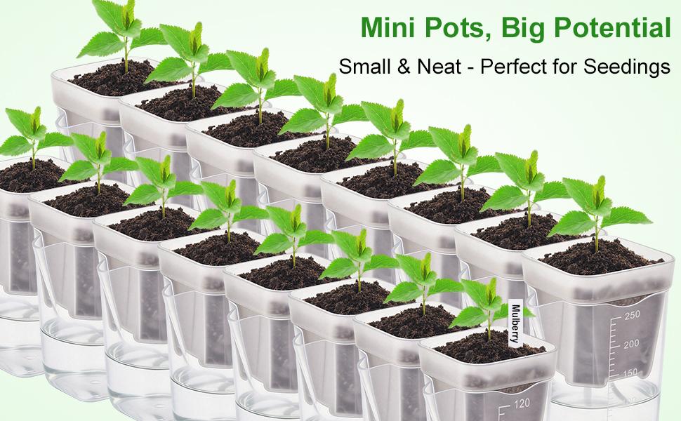 8 Pack 2" Mini Self Watering Pots for Indoor Plants,Small Clear Plastic Planters,Alocasia Corm Propagation,African Violet,Cutting,Seeding,Water Level Indicator,Drainage Hole,8 Plant Label outdoorfun