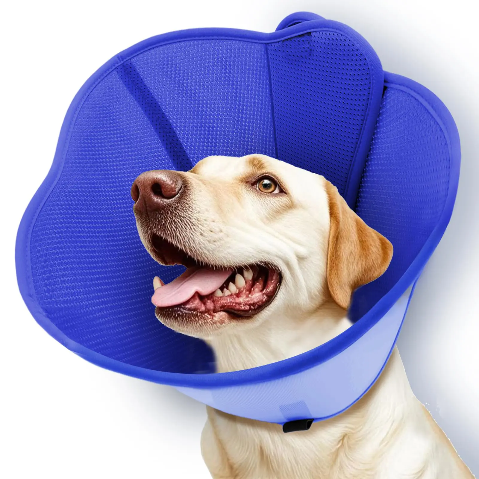 Pet Cat Dog Collar, Dog Cone Collar, Dog Elizabethan Collar,Anti-Scratch Protective Collar, Cat Dog Grooming Circle Recovery Collar