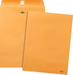 18 Pack Clasp Envelopes - 9x12 Size, Brown Kraft, Letter Size, Document Envelopes with Clasp and Gummed Closure