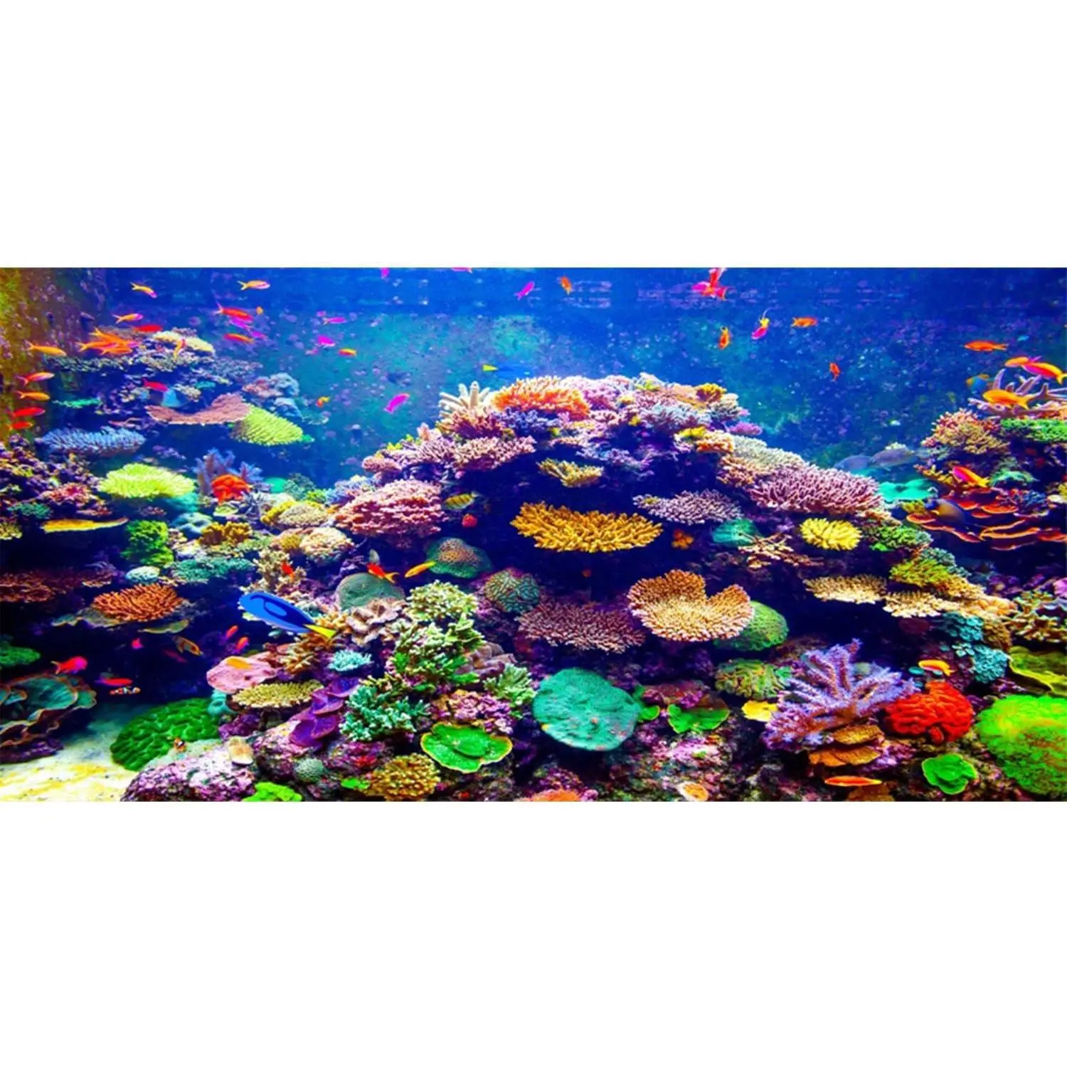 Undersea Theme Vinyl Aquarium Background, 48x24in Colorful Coral Tropical Fish Decor for Fish Tanks, Home & Party Supplies, Backgrounds