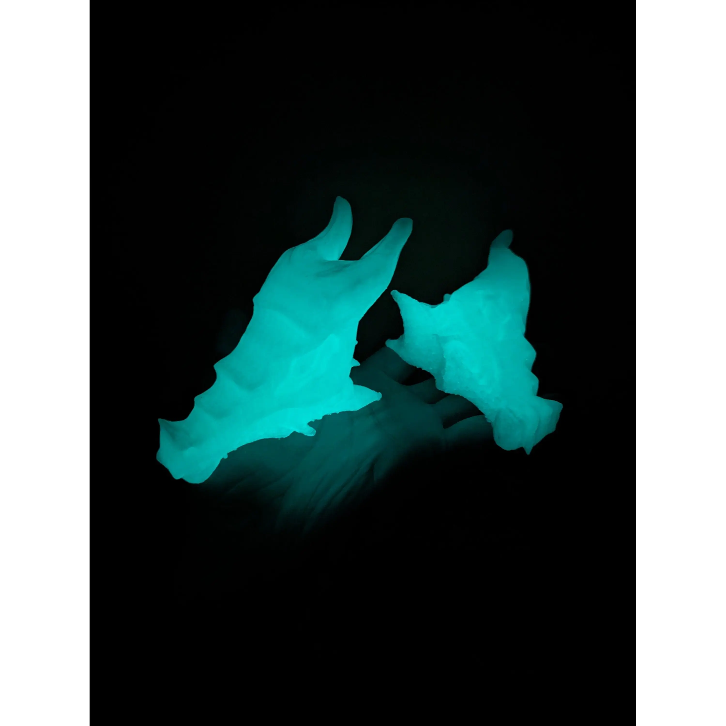 Glowing Dragon Heads ABS Sculpture 3D Printed Dragon Head Handmade Dragon Staff Topper Wizard Gift Drake Game Master Gift RPG TTRPG Cute