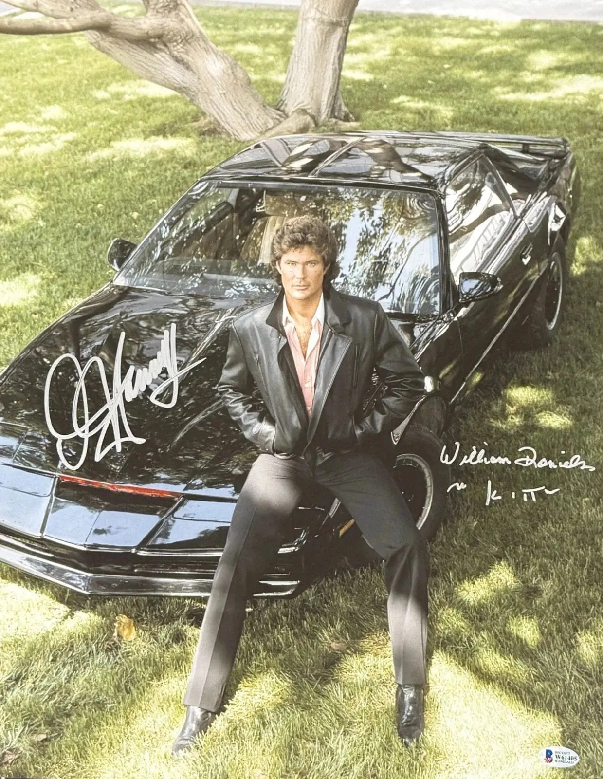 David Hasselhoff & William Daniels Authentic Autographed 16x20 Photo