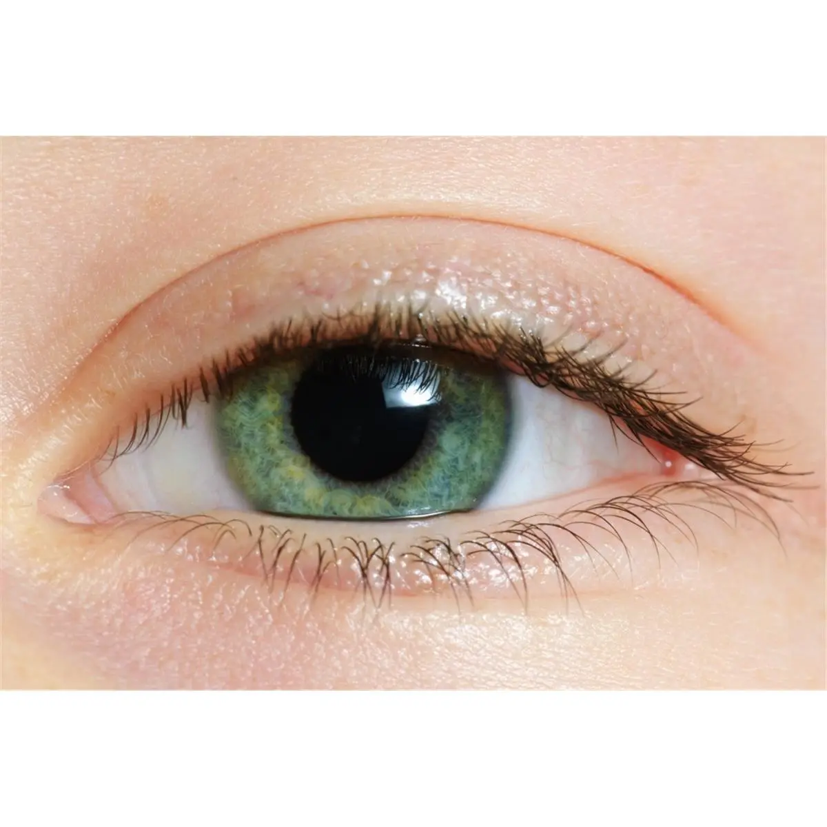 212 MAIN Green Eye Close-Up Photo Poster Print (19x12 in) - Home Styling, Bedroom Accent, Wall Art Decoration, Ideal Gift for Home Supplies Enthusiasts