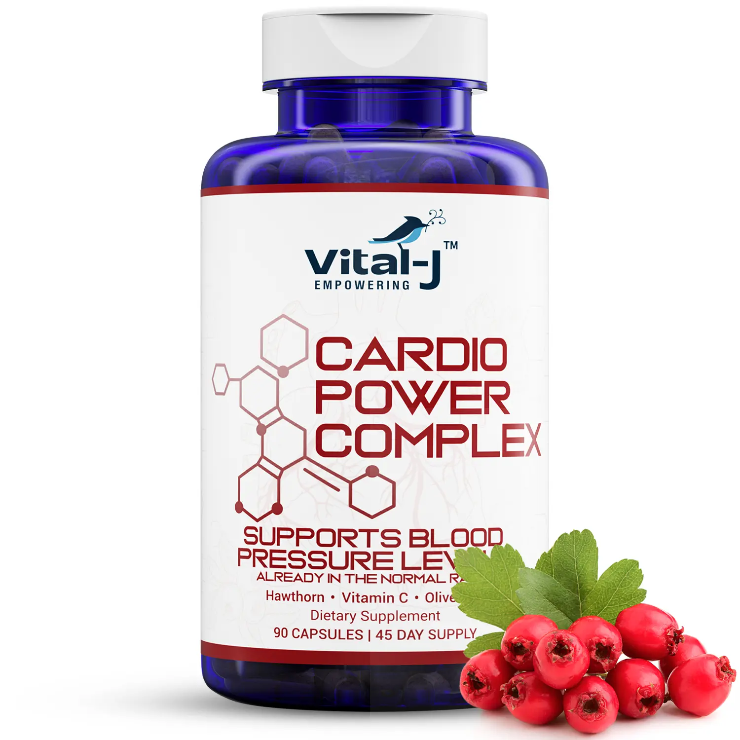 Vital-J Empowering 13-in-1 Botanical Cardio Power Complex Dietary Supplement - Flower, Fruit, Plant-Based, Vitamin C, Blood Pressure & Heart Health Support, Non-GMO, 90 Capsules