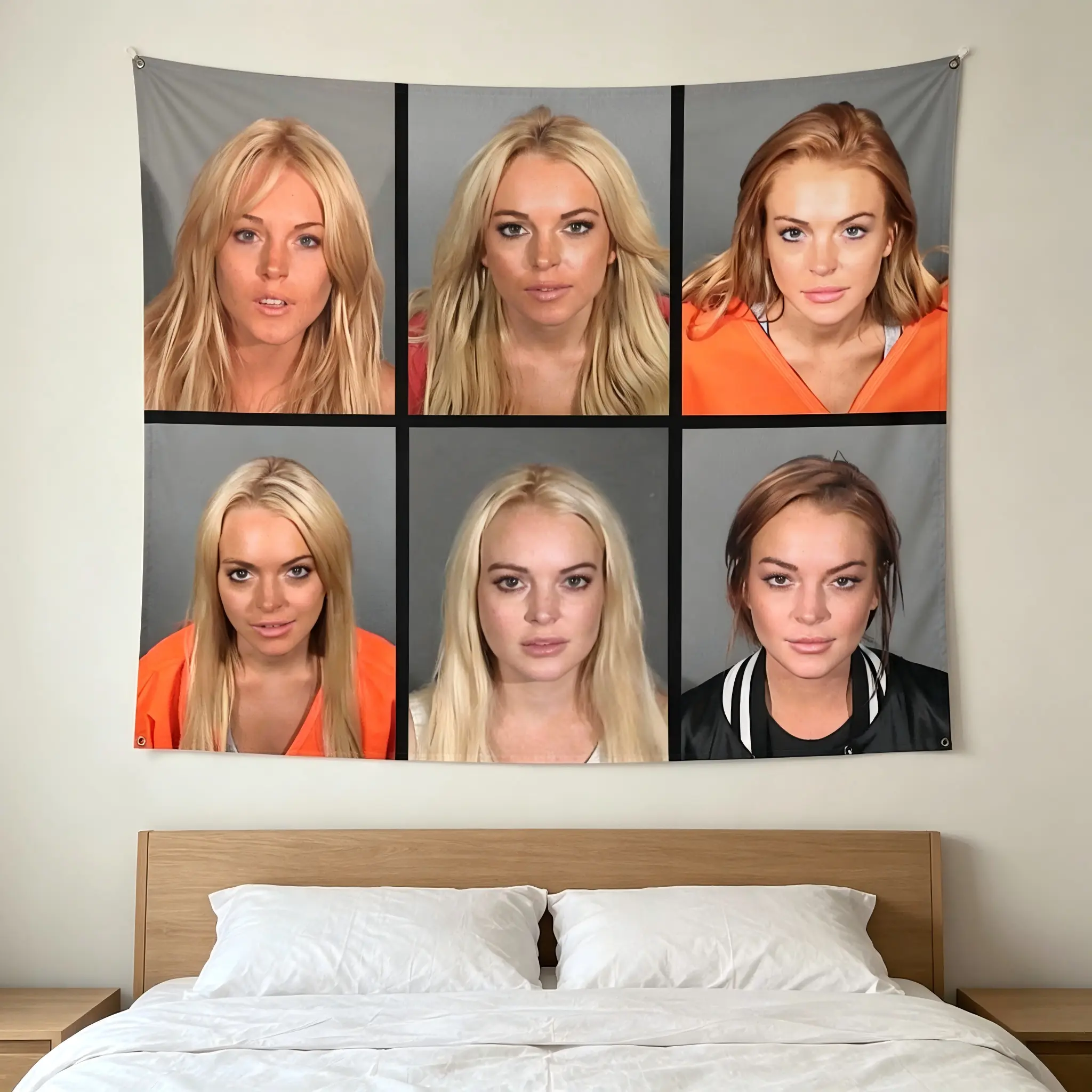 LINDSAY LOHAN MUGSHOTS Tapestry for myself Tapestry for Bedroom, College Dorm and Home Decor 60"x40", Funny Meme Wall Tapestries for Boy Girl Birthday Gifts tiktokshopbacktoschool
