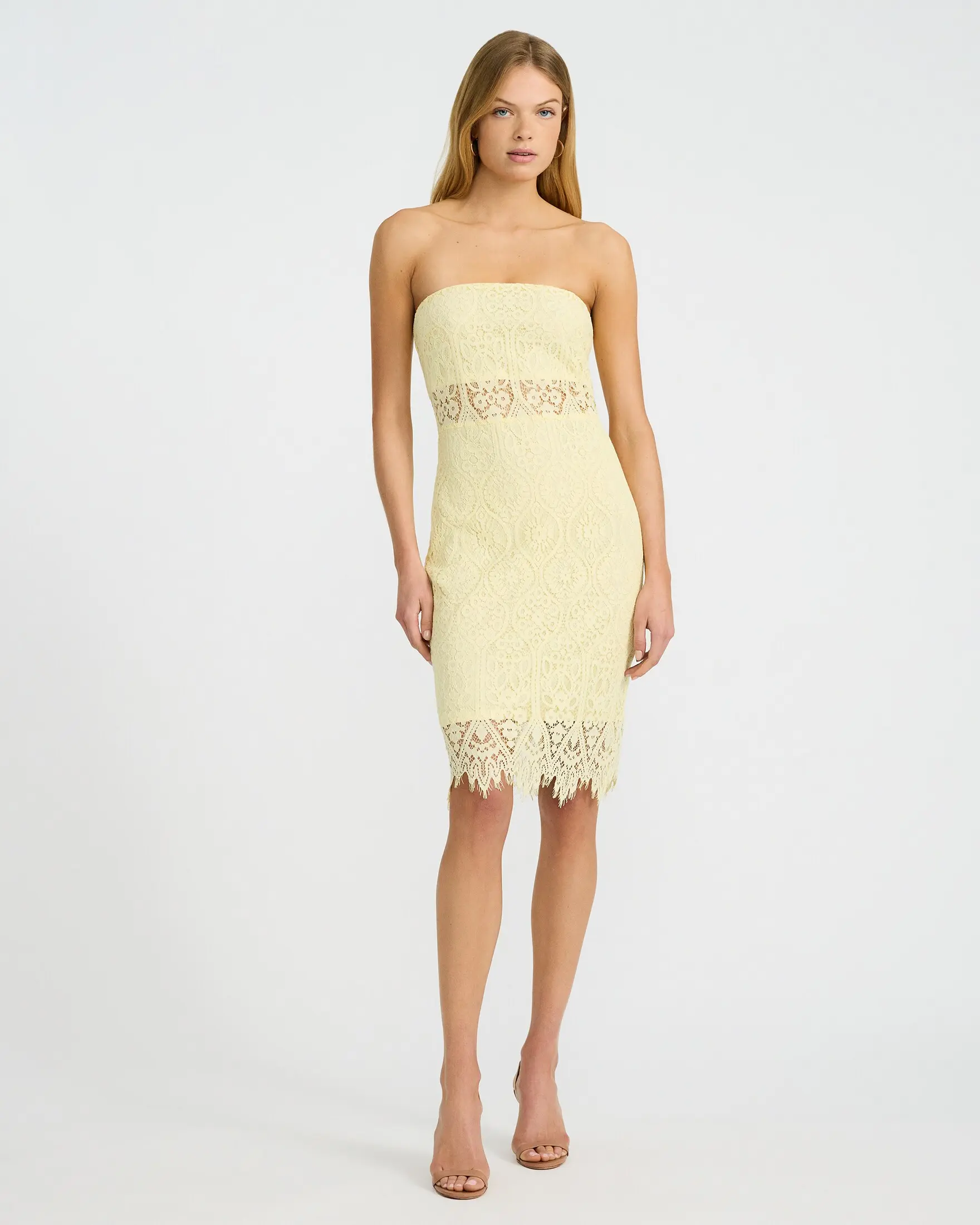 Express Lace Strapless Midi Sheath Dress