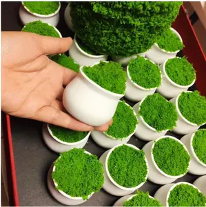3pcs Mini Plastic Plant Pots, Multifunctional Indoor/Outdoor Flowerpots, Lightweight & Stylish