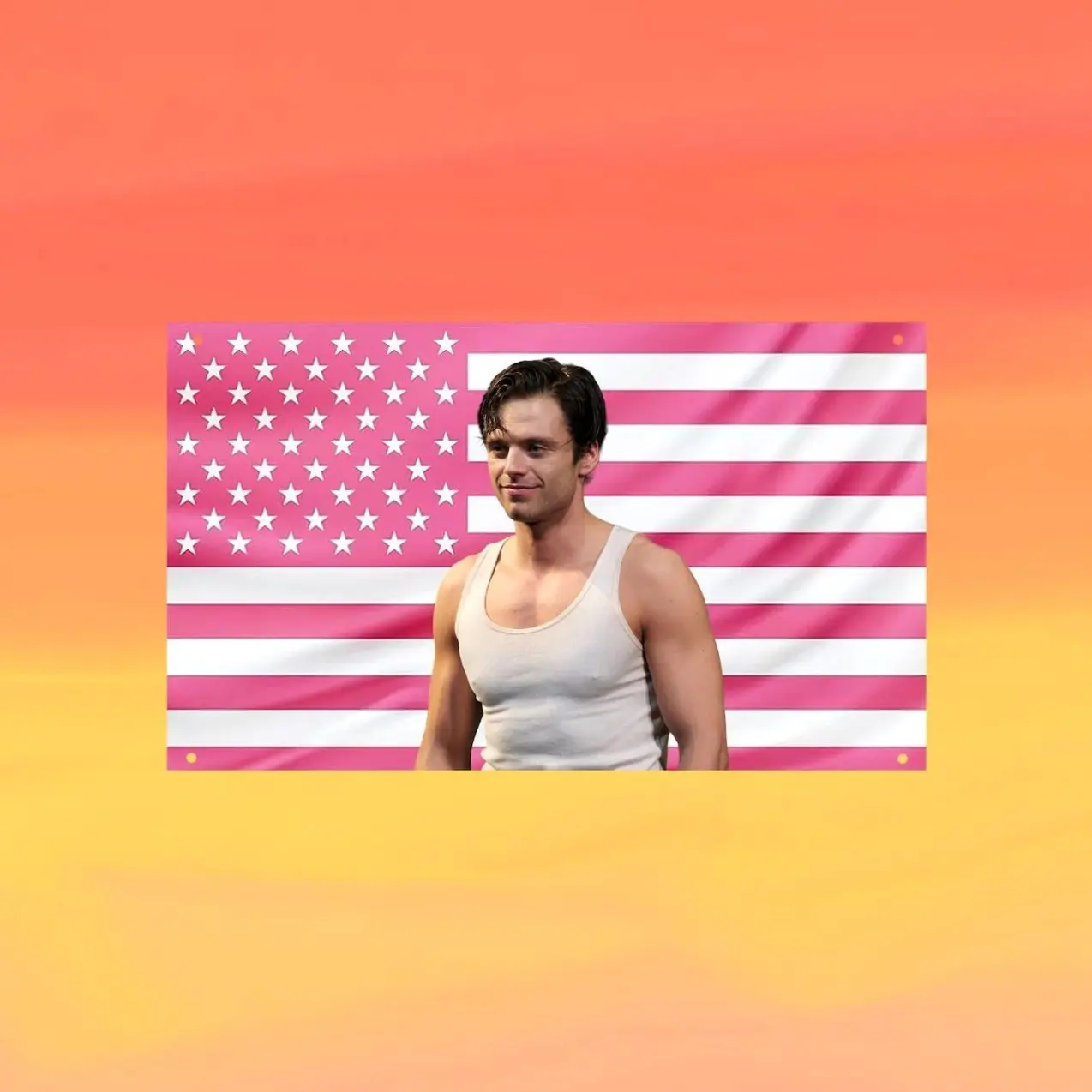 Sebastian Stan Pink US Wall Tapestry Flag, Pink American Flag Wall Art, Actor Bedroom Decor