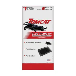 Tomcat Glue Traps Mouse Size with Eugenol for Enhanced Stickiness for Mice, Cockroaches, and Spiders, 6 Traps