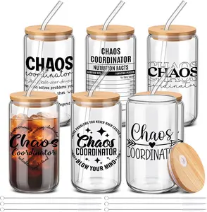 6 count Chaos Coordinator Gifts Thank You Gifts for Coworker Employee Appreciation Gifts Bulk 16 Oz Can Shape Glass Cup With Lid and Straw Chaos Coordinator Drinking Glasses for Nurse Teacher